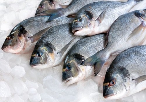 10 порад про те, як правильно вибрати рибу домашні рецепти