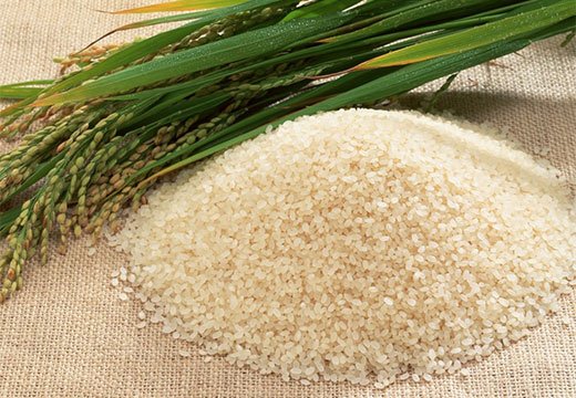 Ефективність застосування і рецепт приготування рисового відвару при проносі