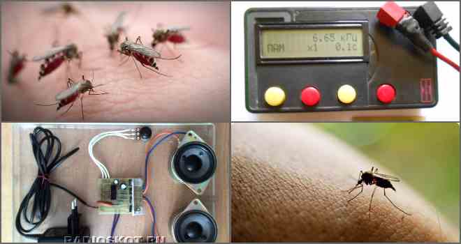 Електронний відлякувач комарів: Популярні моделі.