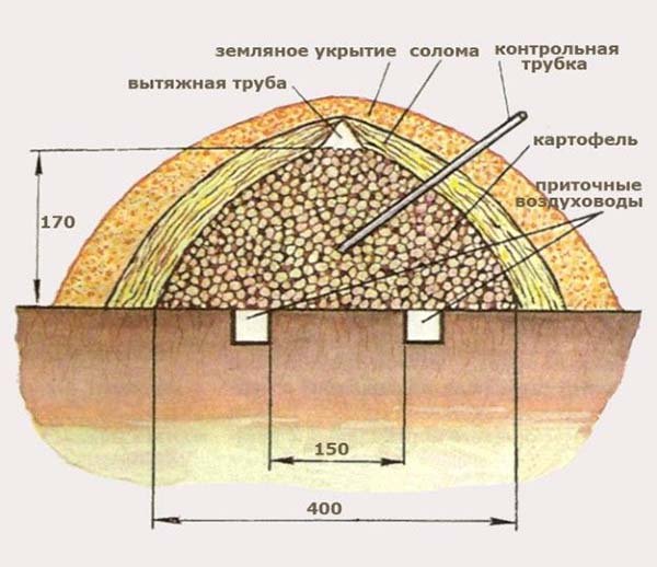 Як зберігати картоплю взимку: в погребі, підвалі або на балконі, при якій температурі