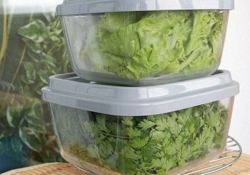 Як зберегти зелень свіжою і довго в холодильнику 8 способів зберігання