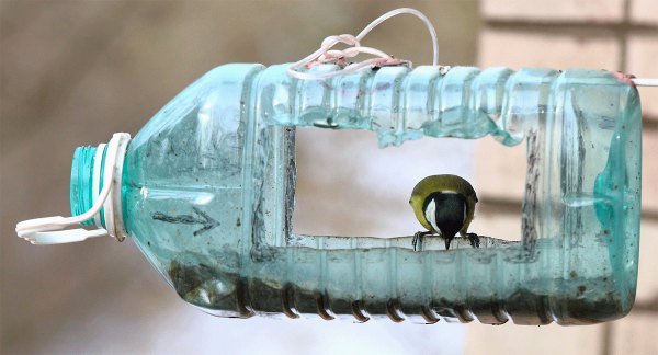Годівниця для птахів з пластикової пляшки своїми руками: оригінальні ідеї і їх фото