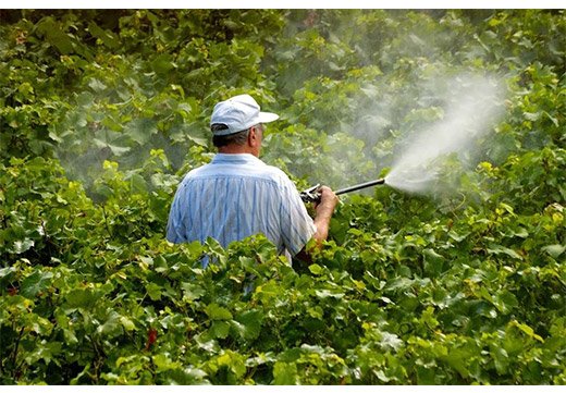 Ознаки отруєння інсектицидами (пестицидами) і можливі наслідки