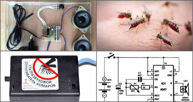 Ультразвуковий відлякувач комарів: міф чи реальність?