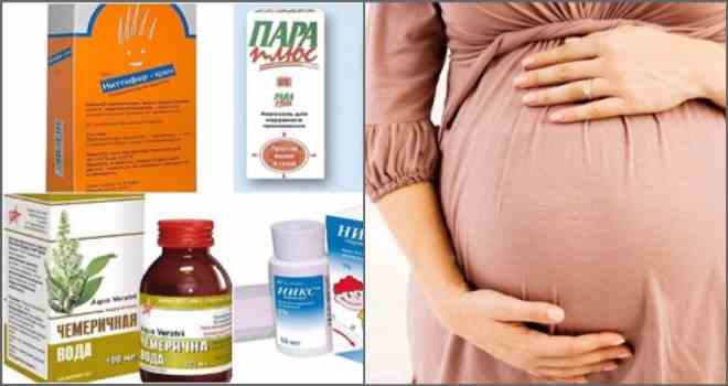 Який засіб від вошей можна використовувати для вагітних?