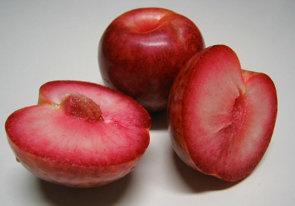Гібрид абрикоси і сливи – як називається і особливості
