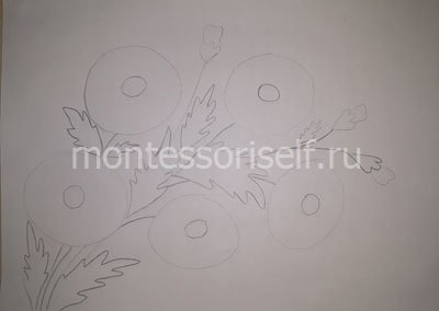 Як намалювати ромашку для початківців: ромашка малюнок олівцем і фарбами
