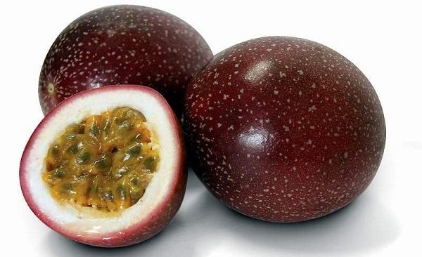 Як у природі росте маракуйя — корисні властивості фрукта