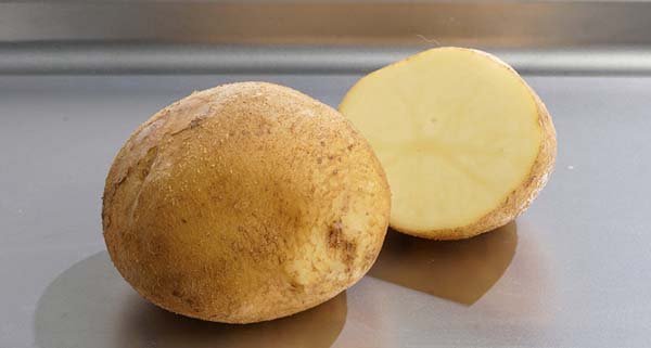 Найкращі сорти картоплі для пюре, смаження, варіння, салату і супу: огляд найбільш підходящих