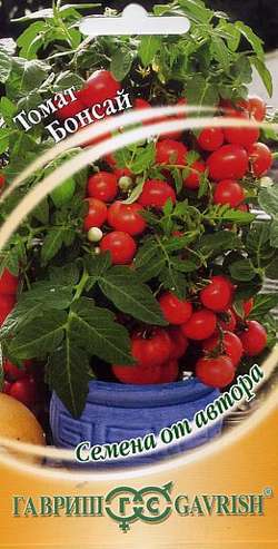 Кращі сорти томатів черрі для теплиць і відкритого грунту: топ 25 з фото, описом і характеристиками