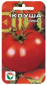 Кращі сорти томатів для відкритого грунту: низькорослі, ранні та врожайні