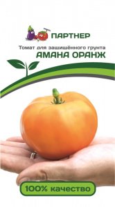 Кращі жовті (помаранчеві) сорти томатів: топ 25 з фото, описом і характеристиками