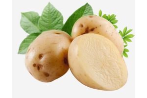 Картопля Бриз: опис сорти, вирощування, відгуки