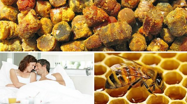 Все про бджолиному пилку корисні властивості і застосування, відео