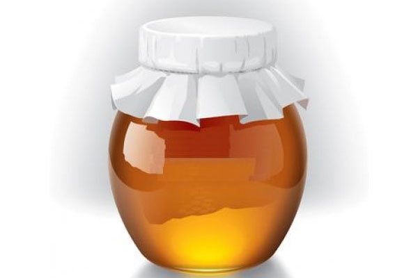 Корисні властивості меду з фацелії, як застосовувати, відео
