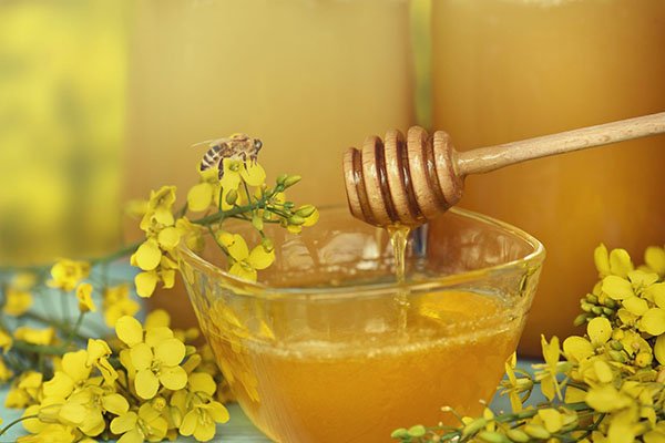 Ріпаковий мед користь і шкода, протипоказання до застосування, відео