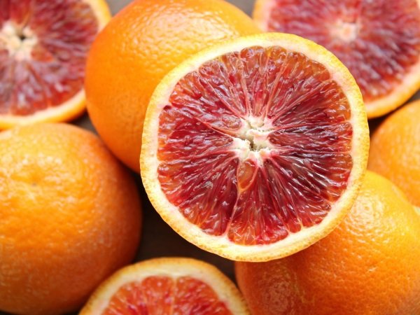 Червоний апельсин – опис сорту і користь