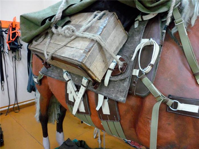 Сідло для коня — дамське, кавалерійське, выездковое: будову, як підібрати