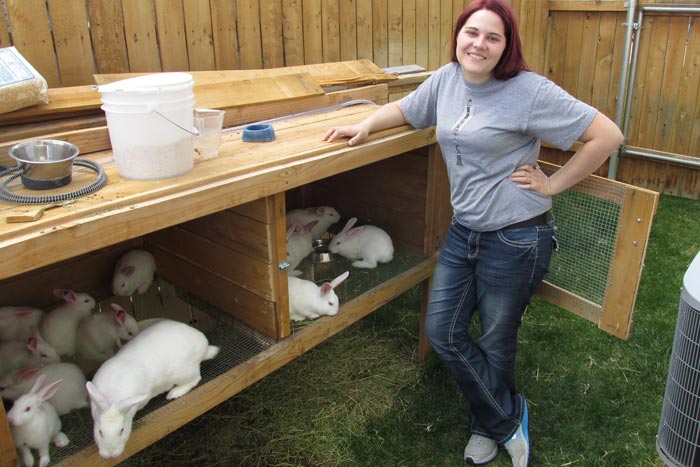 Розведення кроликів як бізнес: вигідно чи ні містити кролячу ферму