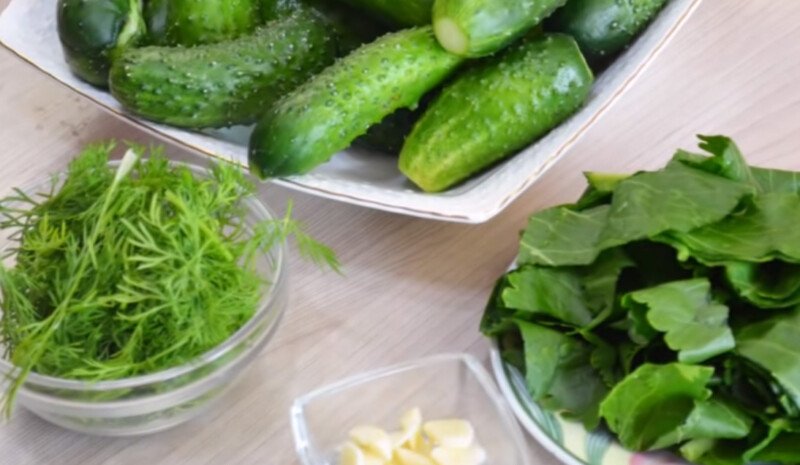 Малосольні огірки з часником і зеленню швидкого приготування — 6 класичних рецептів