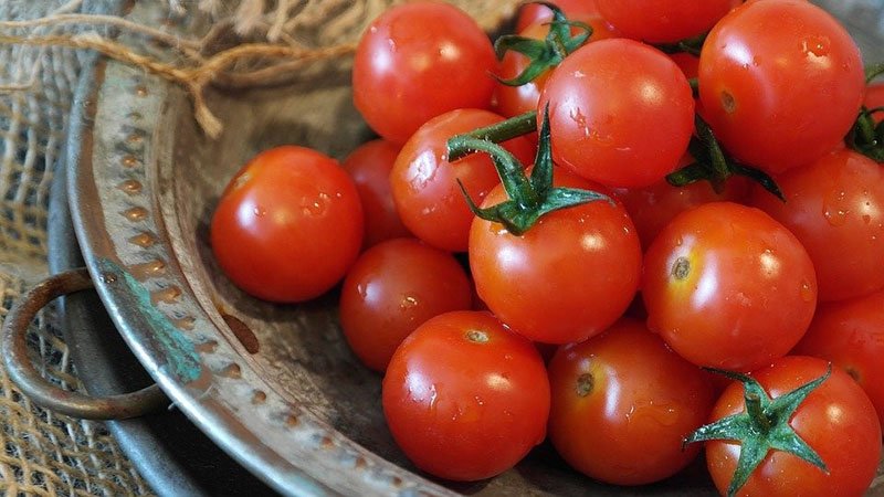 Малосольні помідори рецепти приготування в каструлі, пакеті