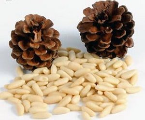 Калорійність кедрових горіхів різних видів і їх харчова цінність