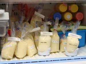 Скільки рекомендується зберігати зціджене молоко?