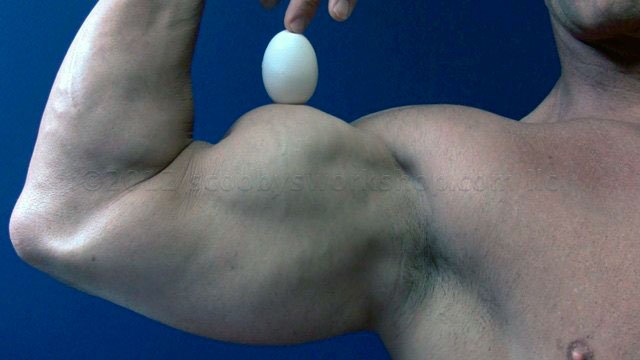 Скільки яєць на день можна їсти спортсменам і не тільки