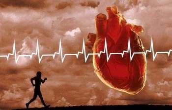 Основи виконання кардіотренувань та приклади вправ