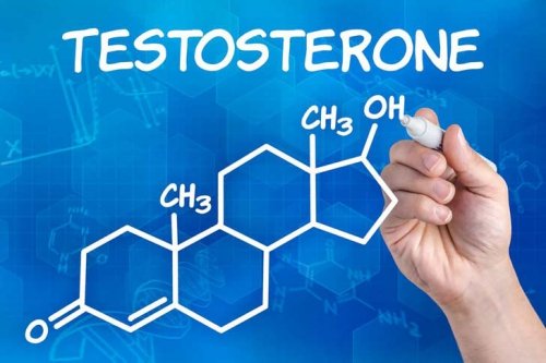 Що таке тестостерон і як його підвищити?