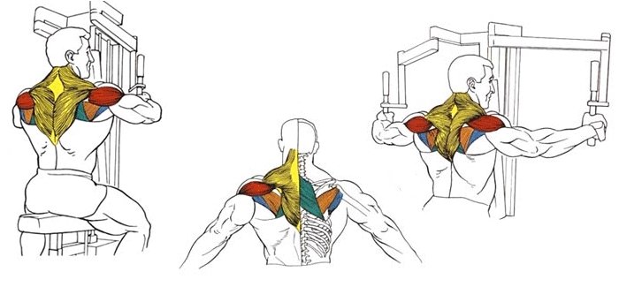 Методичні рекомендації щодо вправ на задні дельти плеча