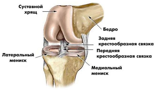 Чому болить коліно при присіданні і вставанні: причини і лікування