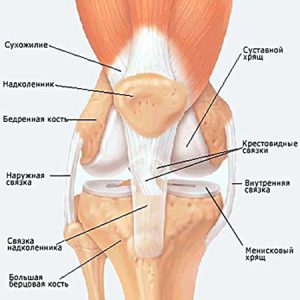 Біль під коліном ззаду: що це, причини, лікування