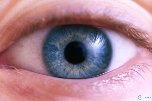 Синдром сухого ока: причини виникнення, симптоми, діагностика, лікування, профілактика