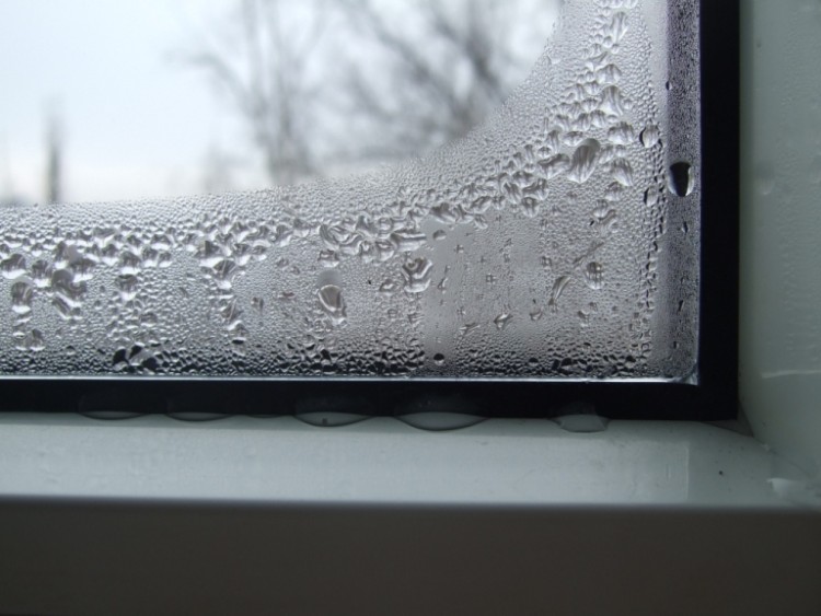 Як зменшити конденсацію вологи на пластикових вікнах