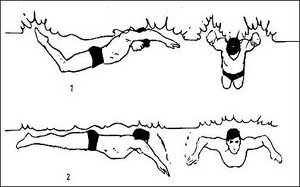Як плавати батерфляєм: техніка плавання