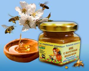 Корисні властивості меду з маточним молочком
