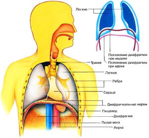 Біль у грудях при вдиху посередині, ліворуч, праворуч: причини, лікування