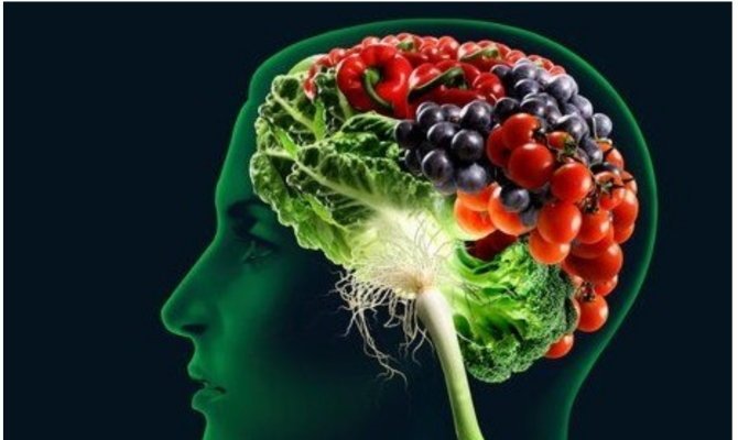 Вітаміни для мозку і памяті дорослим