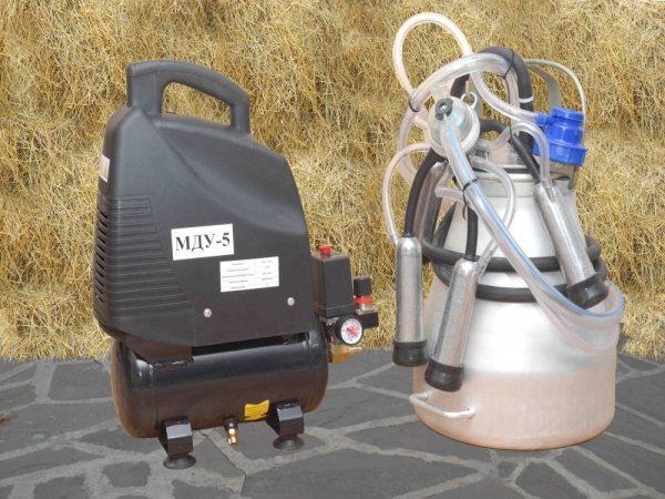 Мобільний доїльний апарат для корів МДУ 5: технічні характеристики, пристрій, фото і відео