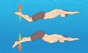 Як плавати батерфляєм: техніка плавання