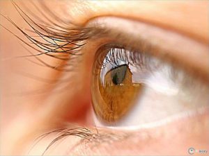 Алергія на очах, причини, симптоми, діагностика, лікування