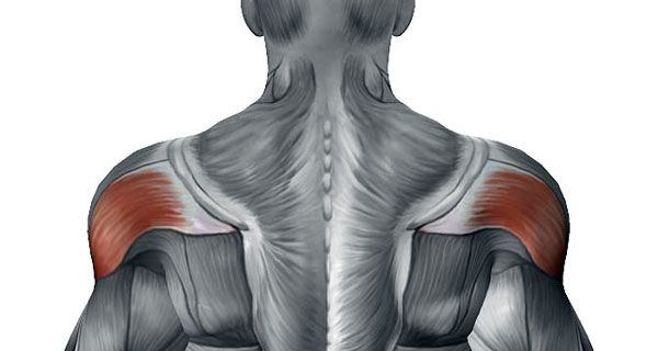 Тяга штанги до грудей в нахилі — розвиваємо задні дельти
