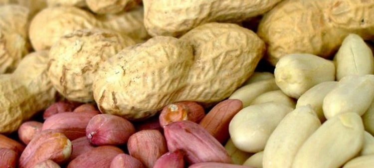 Калорійність арахісу різних видів і способів приготування