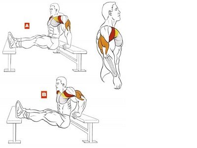 Як накачати широкі плечі в тренажерному залі