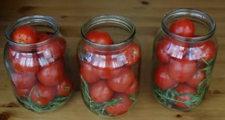 Солоні помідори в банки на зиму холодним способом. Як солити і маринувати помідори?