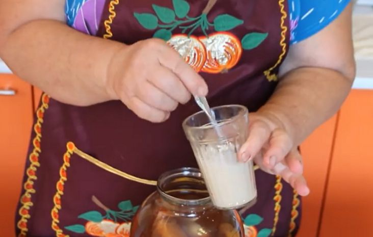 Як зробити квас в домашніх умовах: покроковий рецепт від закваски до приготування домашнього квасу