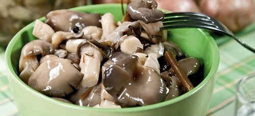 Гливи — рецепти приготування смажених, маринованих грибів у сметані, суп