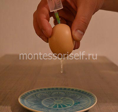 Виріб із яєчної шкаралупи своїми руками