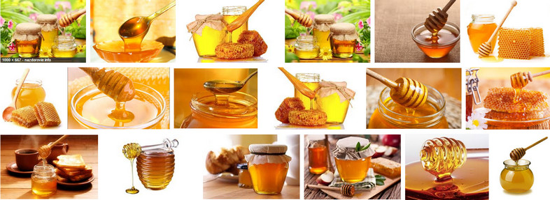 Мед: корисні і лікувальні (цілющі) властивості меду і чим корисний? Лікування медом: народні рецепти